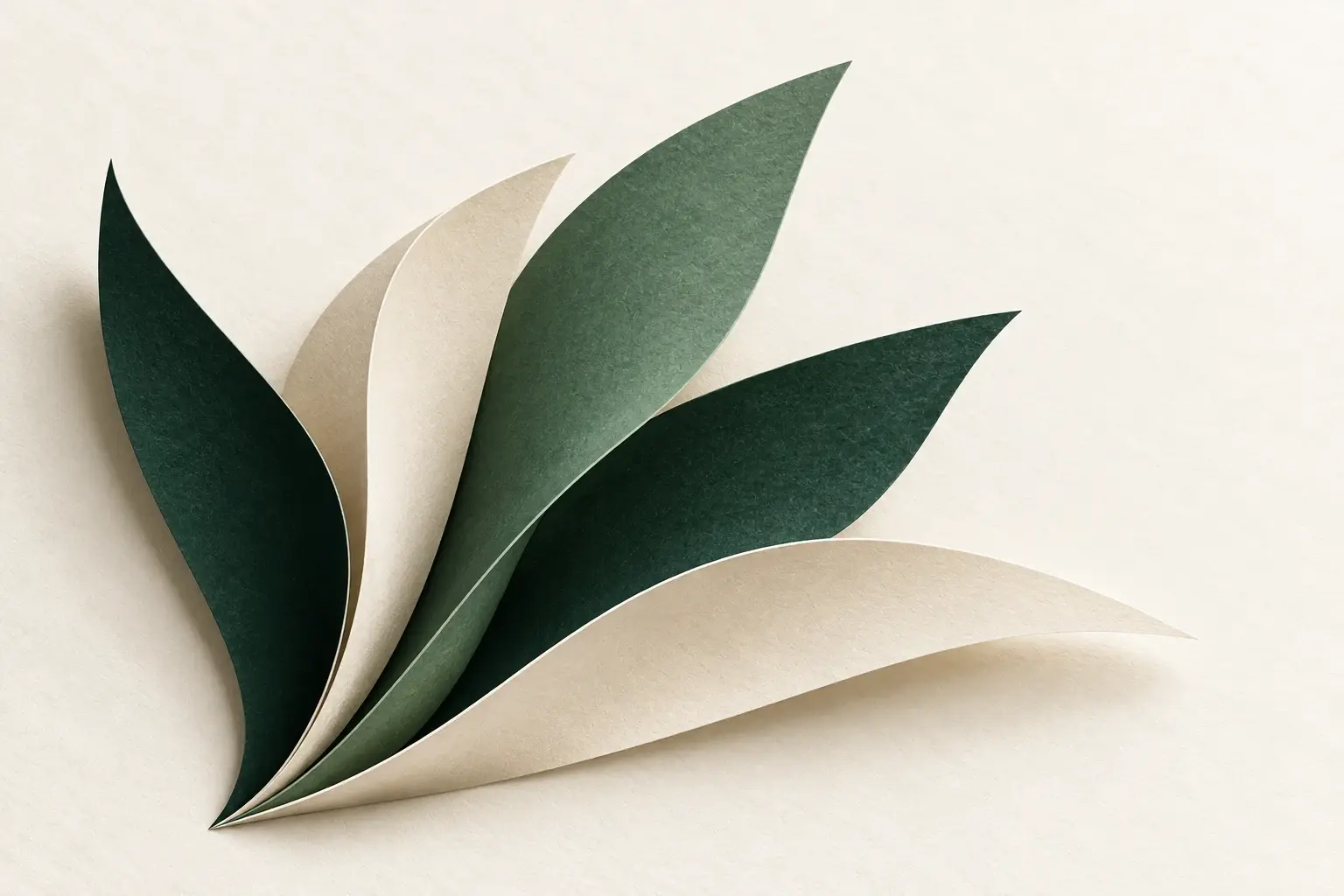 Five forest-green and cream paper forms unfolding from a shared point on warm ivory paper